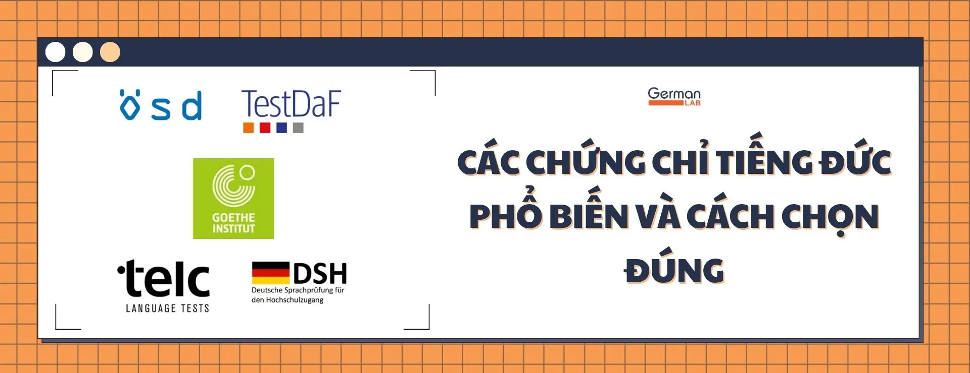 Các Chứng Chỉ Tiếng Đức Phổ Biến Và Cách Chọn Đúng